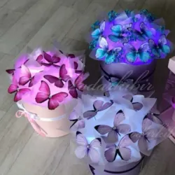 Cajita de mariposas con luces 