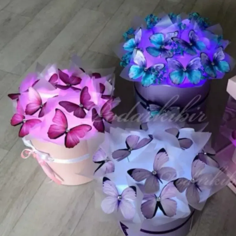 Cajita de mariposas con luces 