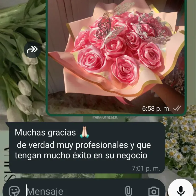 Comentario #6