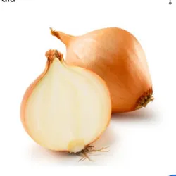 Cebolla