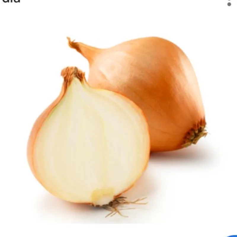 Cebolla