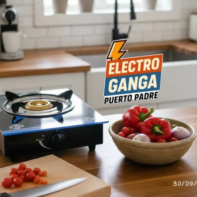 Fogón de gas con magneto