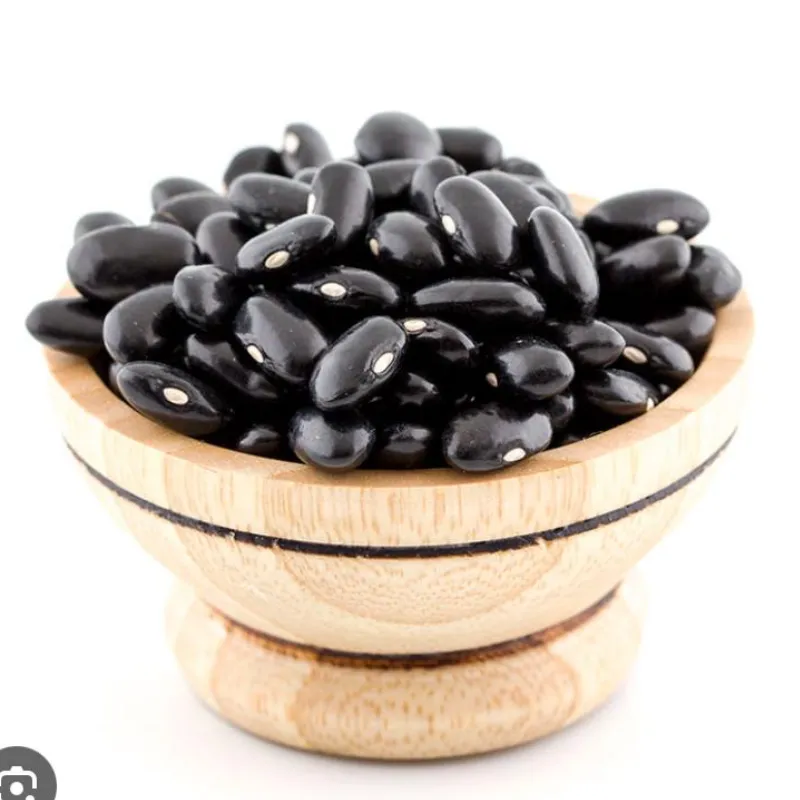Frijol negro