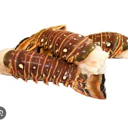 Langosta