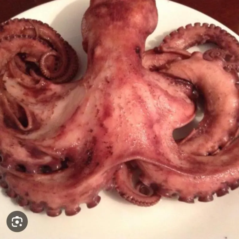 Pulpo