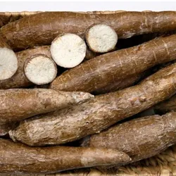 Yuca