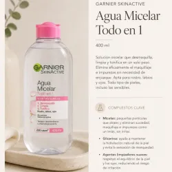 Garnier Agua Micelar