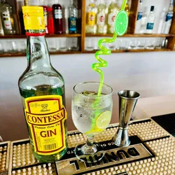 Gin tonic 