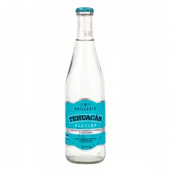 Agua Mineral Con Gas 355ml 