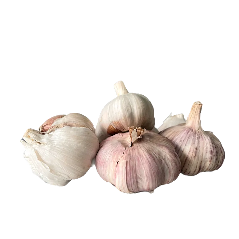 Paquete de ajo 