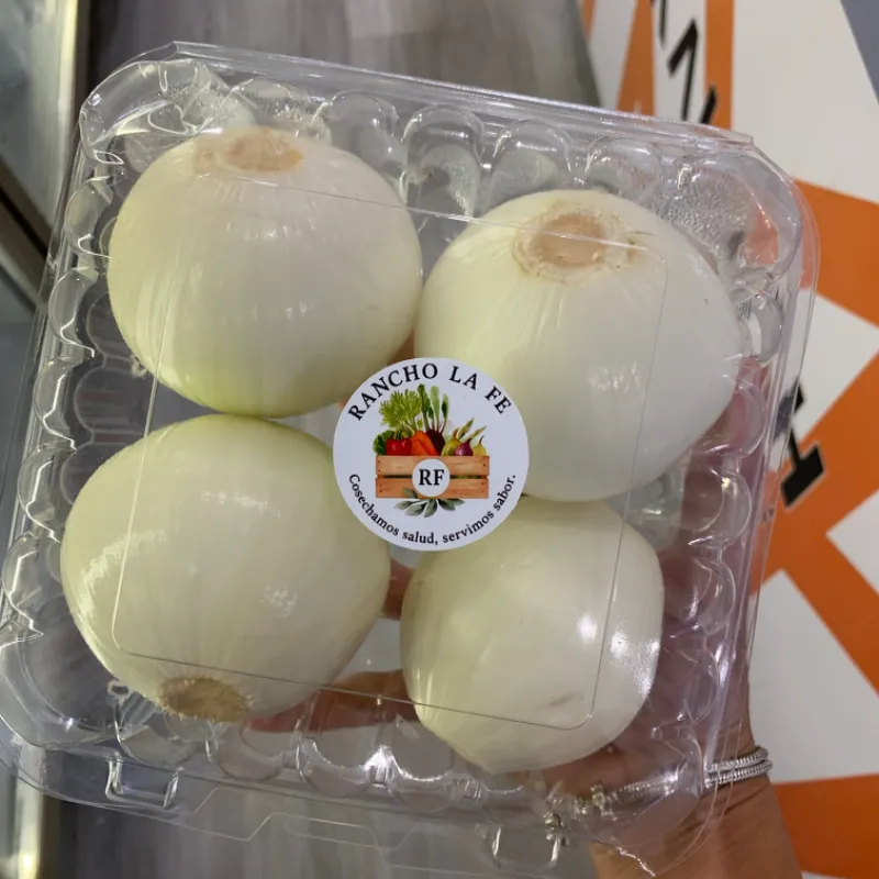 Cebolla pqte