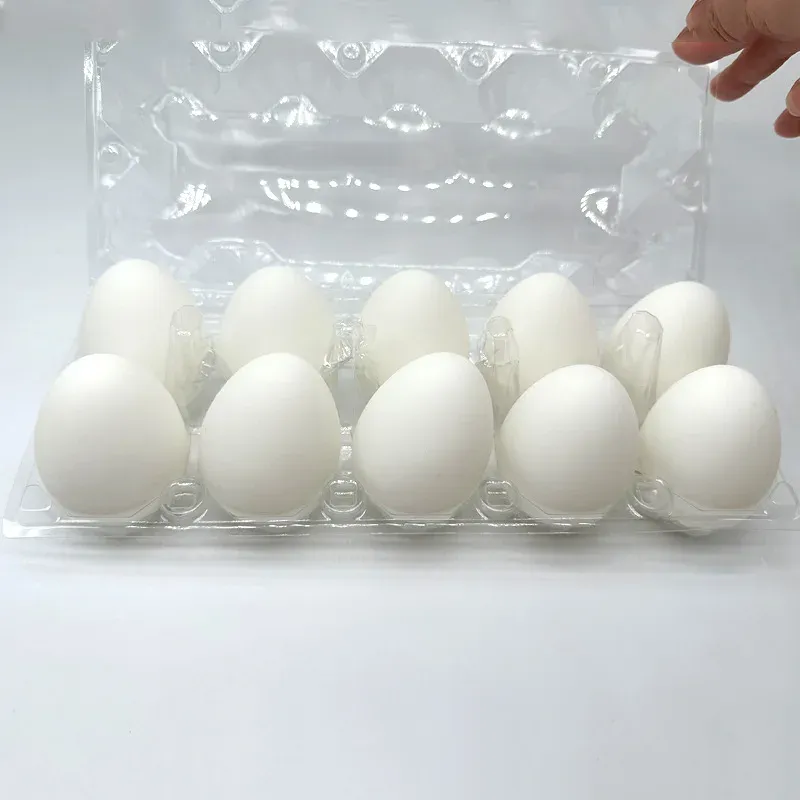 Docena de huevos