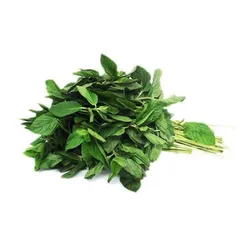 Hierbabuena 60 gr