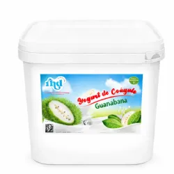 Yogurt RHD Guanábana 4L
