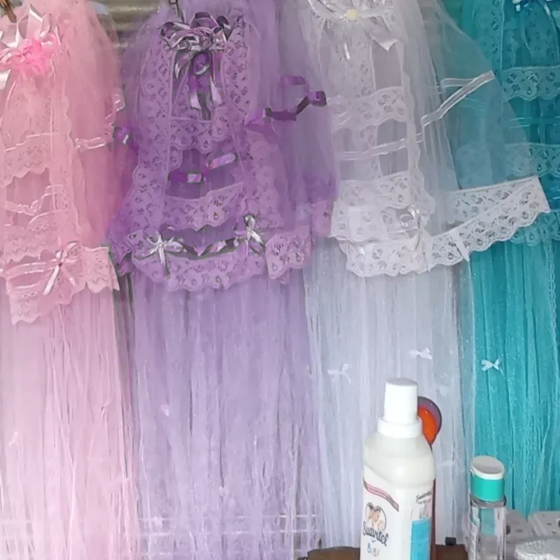 🐨 Mosquiteros de copa 