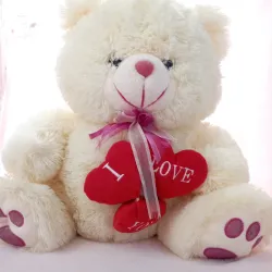 🐨 Peluche de osito 