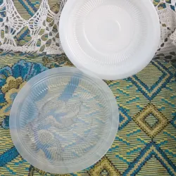 Plato desechable pequeño 