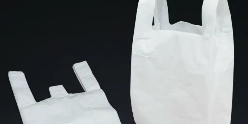 Embalaje (bolsa de nylon)