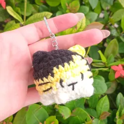 Gatico Moshi tricolor