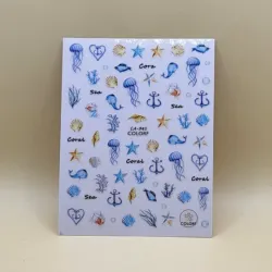 🌊🐚