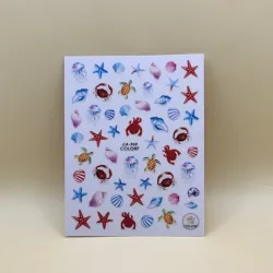 🌊🐚