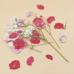 Naturaleza muerta