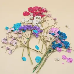Naturaleza muerta