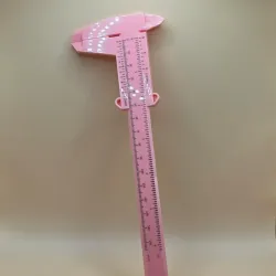 Pie de Rey