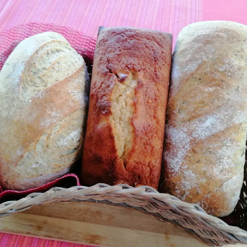 Combo Gaceñiga, Pan de Molde Especias 500, Pan Rustico 500