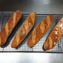 4 Rustico de 220 Gramos Cada uno