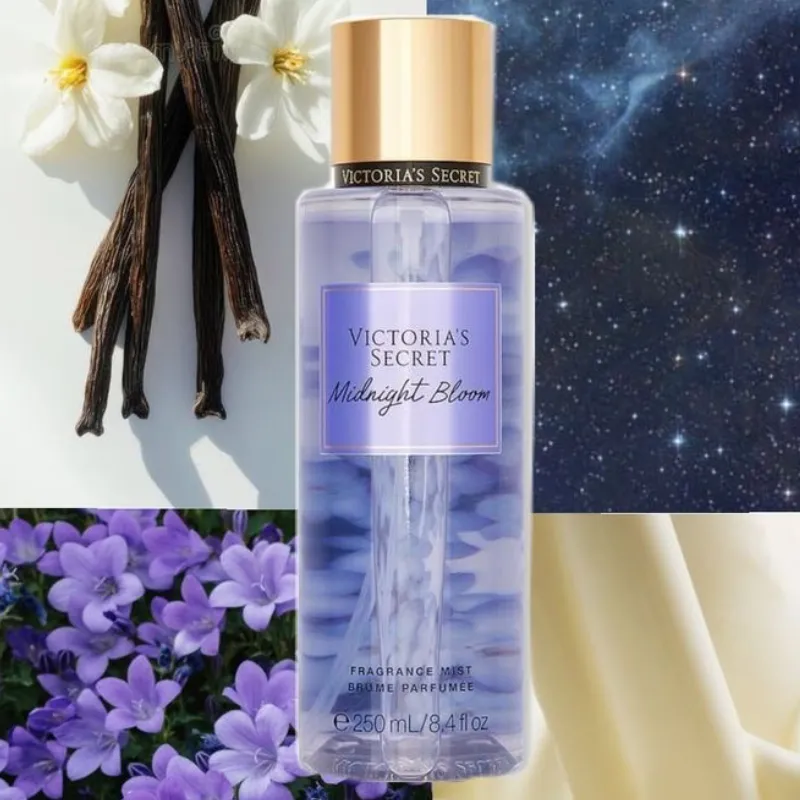 MIDNIGHT BLOOM 
