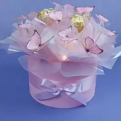 Cajita de Mariposas 🦋 