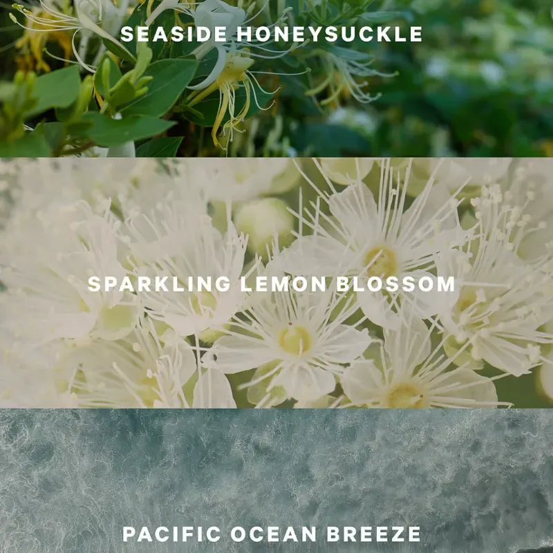 Set Coastal Blooms 🌊🌸✨