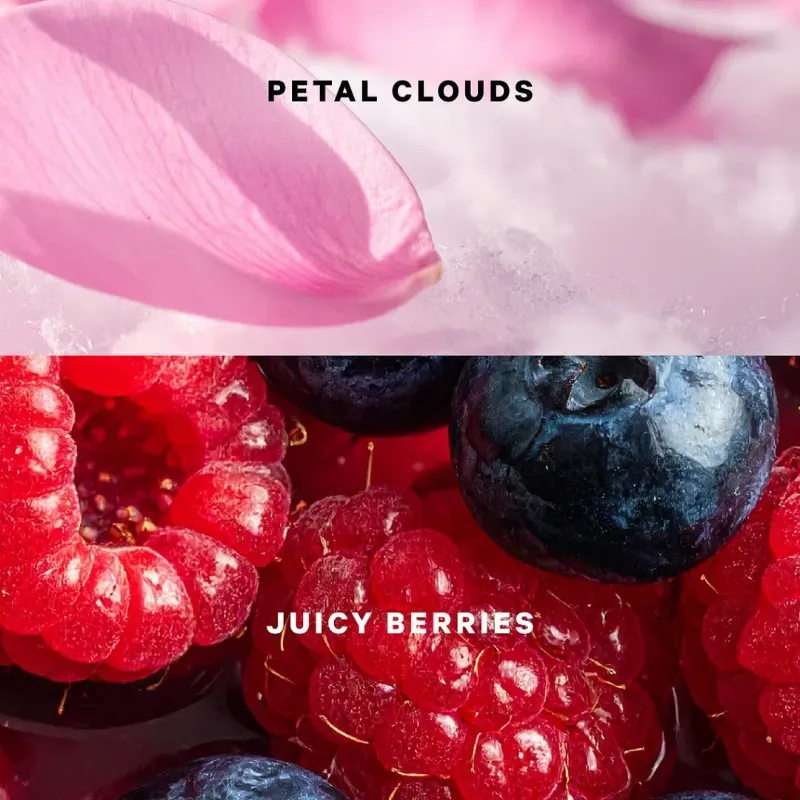 Set Glazed Pétalos & Berries 🍓🌸✨