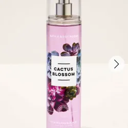 Cactus Blossom 🌵🌸