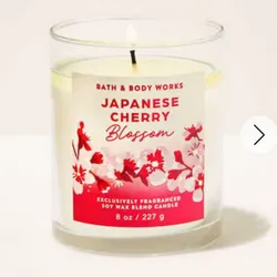 Japanese Cherry Blossom