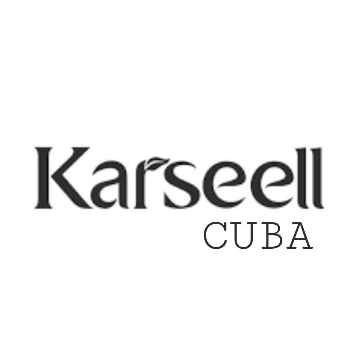 Karseell Shop