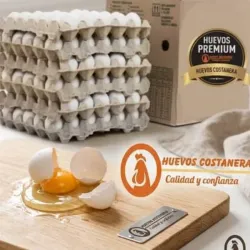 Huevos Blancos Importado 15und