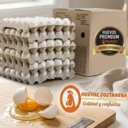 Huevos Blancos Importado 30 unidades