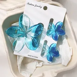 Pack ganchos de cabello 