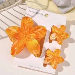 Pack ganchos para cabello 