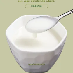 Yogur probiótico (500ml)