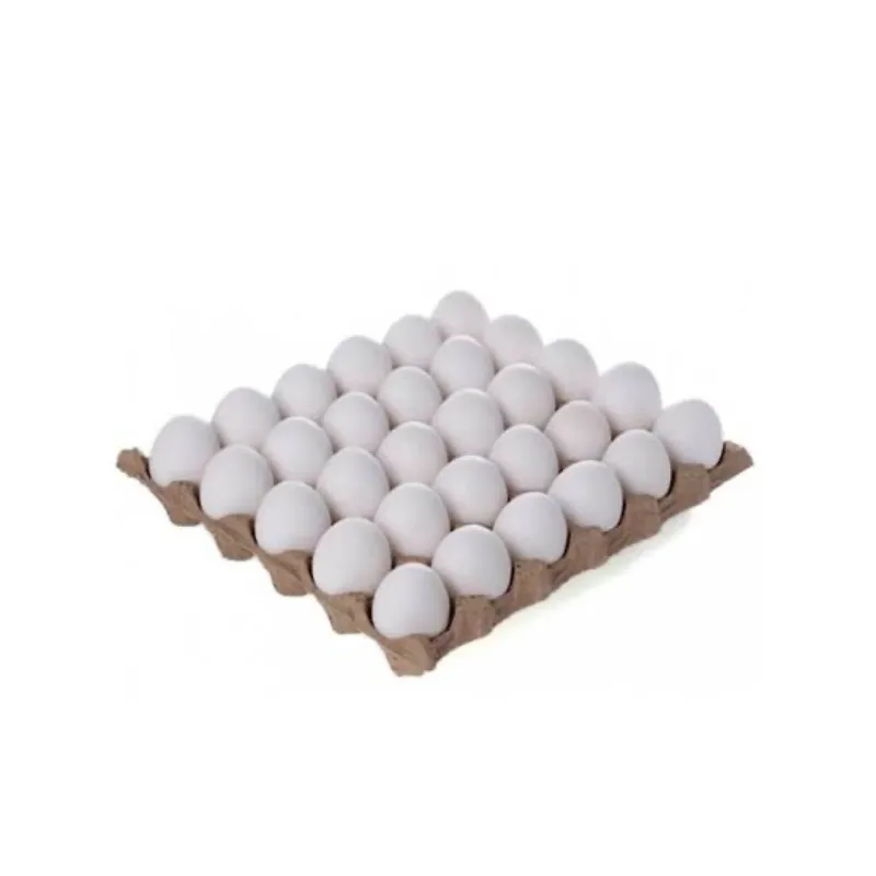 Cartón de huevos 