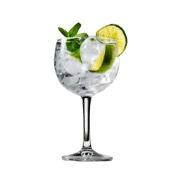 GIN TÓNIC 