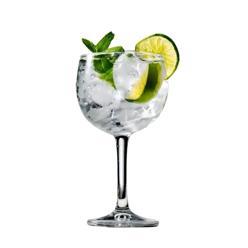 GIN TÓNIC 