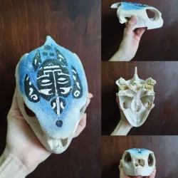 Espíritu Maori de tortuga