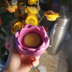 Flor de loto