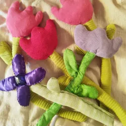 Flores q murieron en febrero