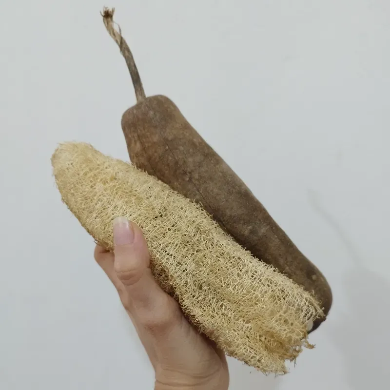Lufa