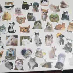 Stickers de gatitos